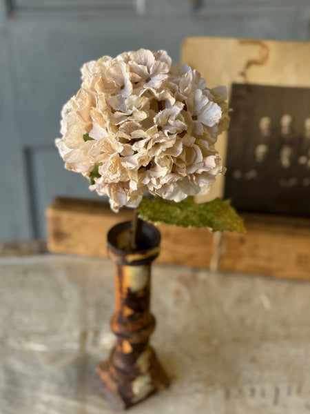 Revival Hydrangea | 20" | Lace | NOT CURRENTLY IN STOCK-New For Holiday 2026!