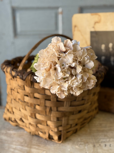 Revival Hydrangea | 20" | Lace | NOT CURRENTLY IN STOCK-New For Holiday 2026!