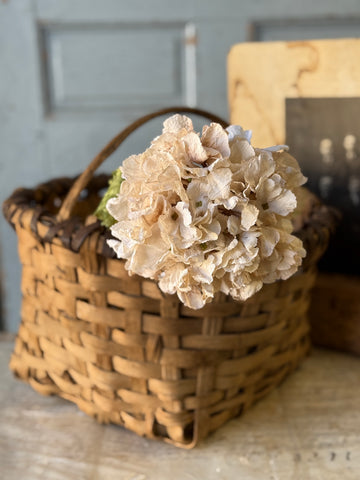 Revival Hydrangea | 20" | Lace | NOT CURRENTLY IN STOCK-New For Holiday 2026!