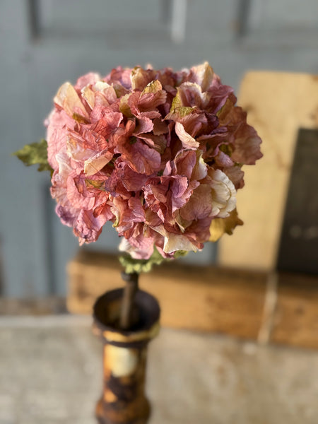 Revival Hydrangea | 20" | Pinken | NOT CURRENTLY IN STOCK-New For Holiday 2026!