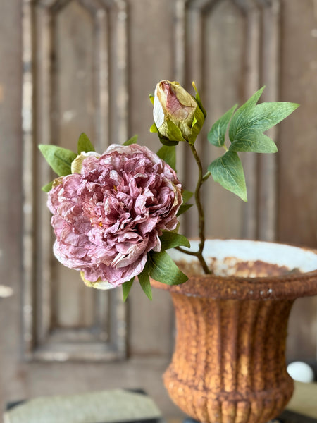 Legacy Blooms | 20" | Crush | NOT CURRENTLY IN STOCK-New For Holiday 2026!