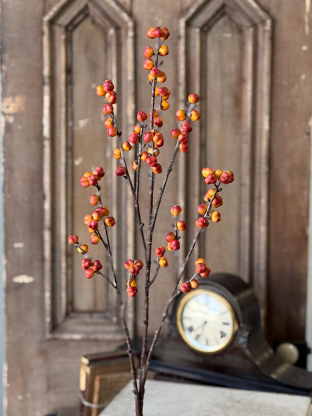 Brackish Bittersweet Spray | 36" | NOT CURRENTLY IN STOCK-New For Holiday 2026!