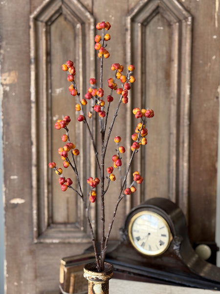 Brackish Bittersweet Spray | 36" | NOT CURRENTLY IN STOCK-New For Holiday 2026!