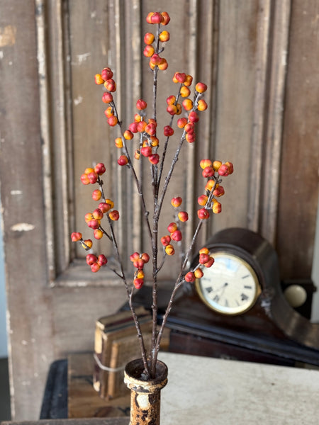 Brackish Bittersweet Spray | 36" | NOT CURRENTLY IN STOCK-New For Holiday 2026!