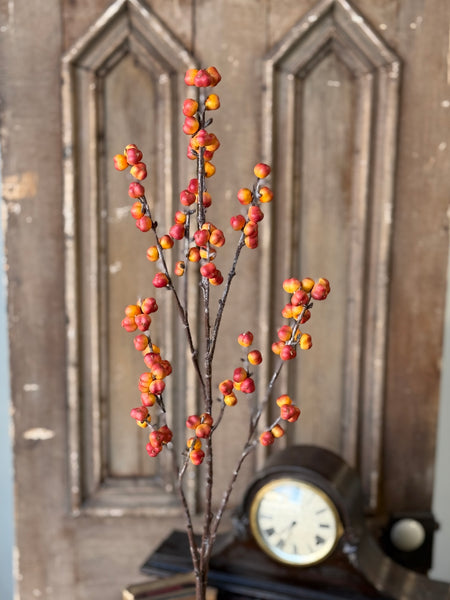 Brackish Bittersweet Spray | 36" | NOT CURRENTLY IN STOCK-New For Holiday 2026!