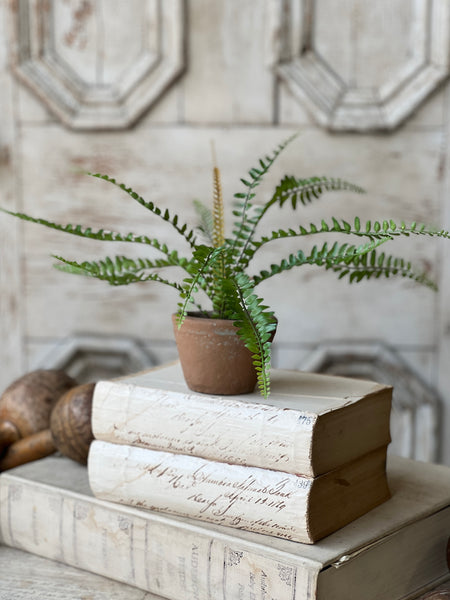 Hill Gate Pot | 8" | Sword Fern | NOT CURRENTLY IN STOCK-New For Spring 2026!