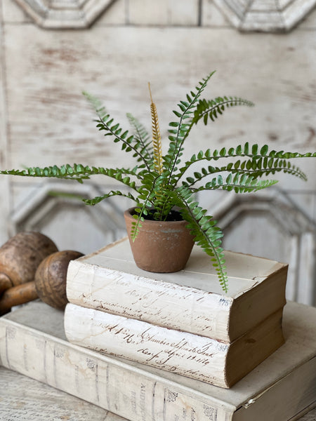 Hill Gate Pot | 8" | Sword Fern | NOT CURRENTLY IN STOCK-New For Spring 2026!