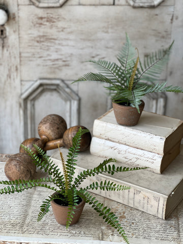 Hill Gate Pot | 8" | Sword Fern