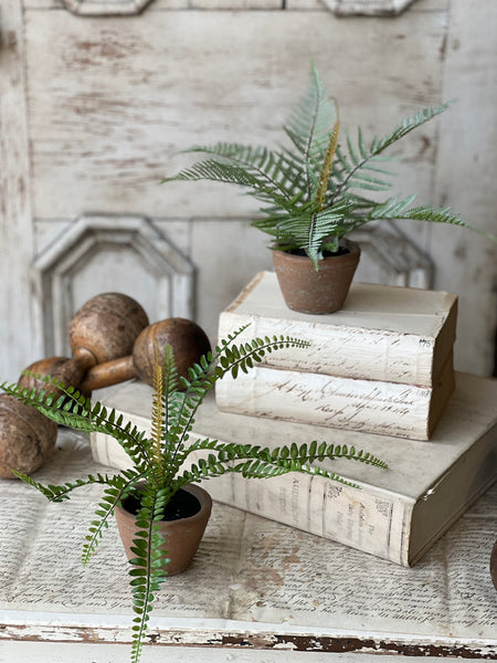 Hill Gate Pot | 8" | Sword Fern | NOT CURRENTLY IN STOCK-New For Spring 2026!