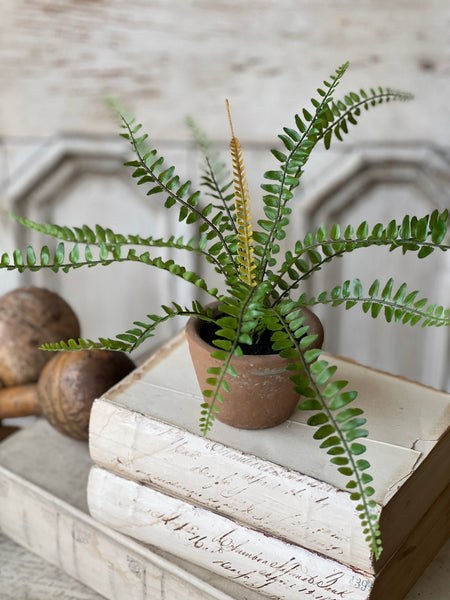 Hill Gate Pot | 8" | Sword Fern | NOT CURRENTLY IN STOCK-New For Spring 2026!