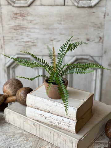 Hill Gate Pot | 8" | Sword Fern | NOT CURRENTLY IN STOCK-New For Spring 2026!