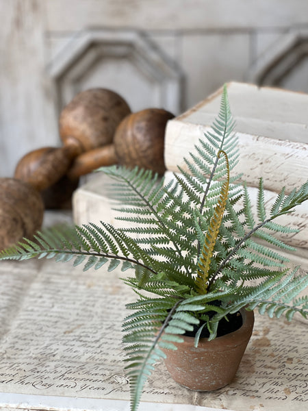 Hill Gate Pot | 8" | Plume Fern | NOT CURRENTLY IN STOCK-New For Spring 2026!