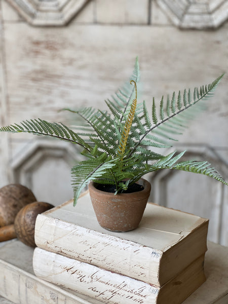 Hill Gate Pot | 8" | Plume Fern | NOT CURRENTLY IN STOCK-New For Spring 2026!