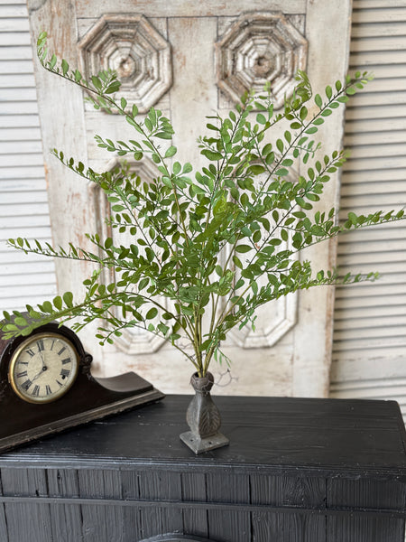 Fountain Bush | 35" | Causeway Leaves | NOT CURRENTLY IN STOCK-New For Spring 2027!