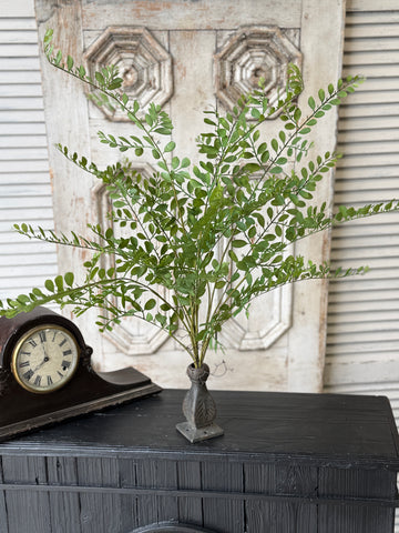 Fountain Bush | 35" | Causeway Leaves | NOT CURRENTLY IN STOCK-New For Spring 2027!