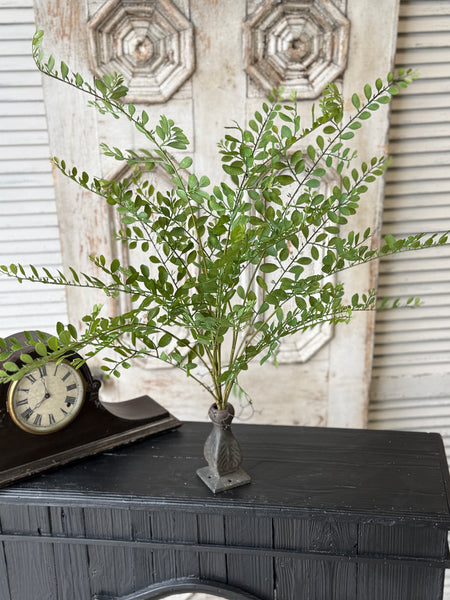 Fountain Bush | 35" | Causeway Leaves | NOT CURRENTLY IN STOCK-New For Spring 2027!