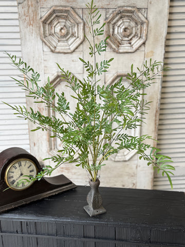 Fountain Bush | 36" | Trellis Leaves | NOT CURRENTLY IN STOCK-New For Spring 2027!