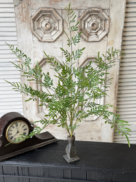 Fountain Bush | 36" | Trellis Leaves | NOT CURRENTLY IN STOCK-New For Spring 2027!