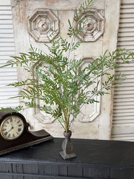 Fountain Bush | 36" | Trellis Leaves | NOT CURRENTLY IN STOCK-New For Spring 2027!