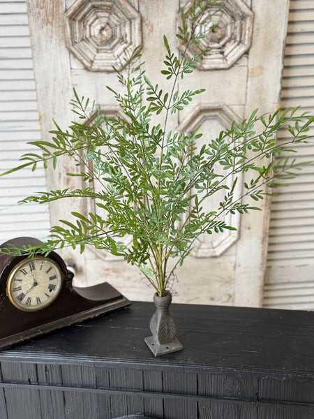 Fountain Bush | 36" | Trellis Leaves | NOT CURRENTLY IN STOCK-New For Spring 2027!