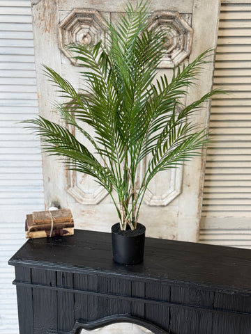 Fanfare Palm Tree | 42" | NOT CURRENTLY IN STOCK-New For Spring 2027!