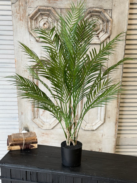 Fanfare Palm Tree | 42" | NOT CURRENTLY IN STOCK-New For Spring 2027!