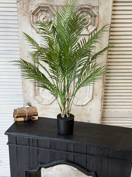Fanfare Palm Tree | 42" | NOT CURRENTLY IN STOCK-New For Spring 2027!