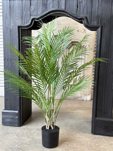 Fanfare Palm Tree | 42" | NOT CURRENTLY IN STOCK-New For Spring 2027!