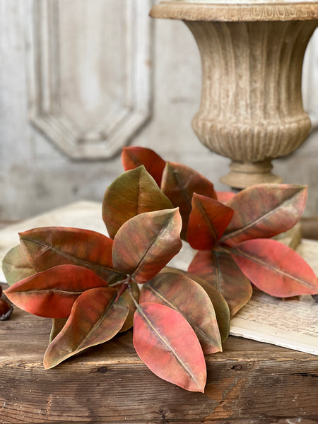 Catalpa Bush | 20" | Ochre | SOLD OUT