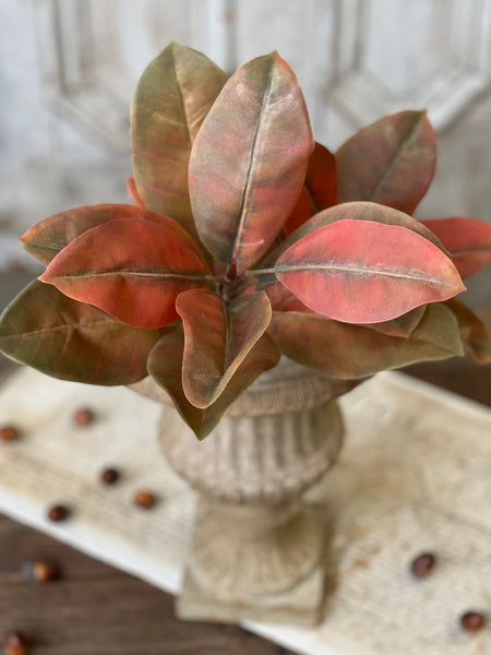 Catalpa Bush | 20" | Ochre | SOLD OUT