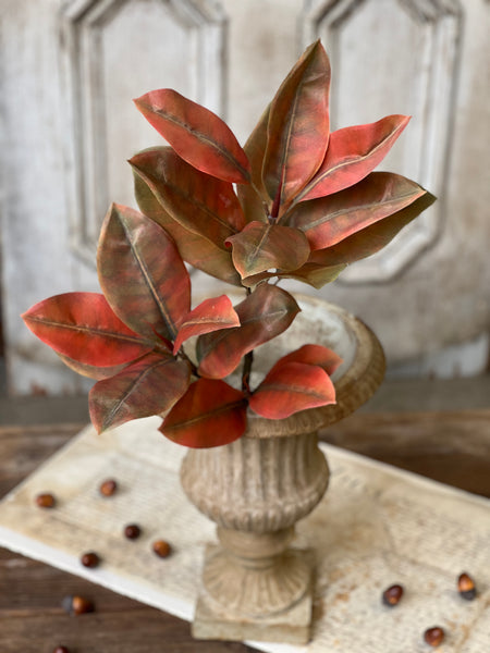 Catalpa Bush | 20" | Ochre | SOLD OUT