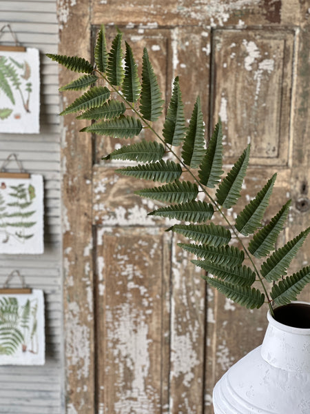Zephyr Fern Spray | 56" | Limited Stock - Last 48pcs!  (will be discontinued for Spring 2026)