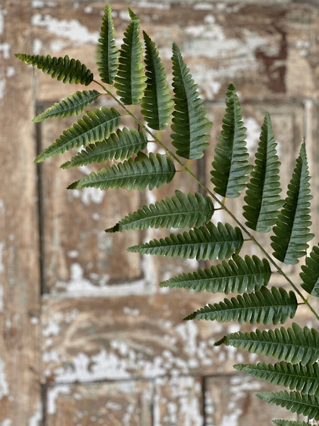 Zephyr Fern Spray | 56" | Limited Stock - Last 48pcs!  (will be discontinued for Spring 2026)