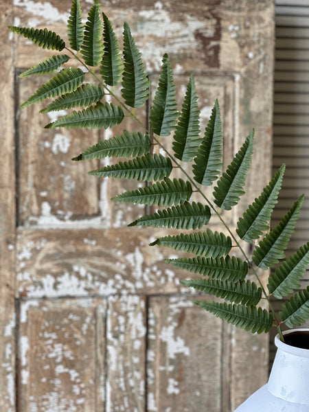 Zephyr Fern Spray | 56" | Limited Stock - Last 48pcs!  (will be discontinued for Spring 2026)