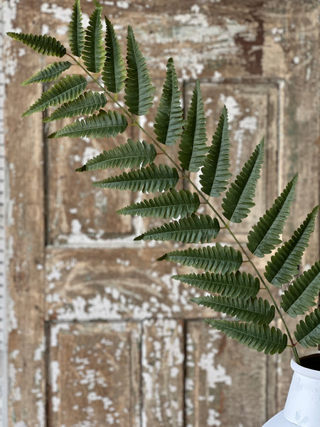Zephyr Fern Spray | 56" | Limited Stock - Last 48pcs!  (will be discontinued for Spring 2026)