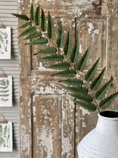 Zephyr Fern Spray | 56" | Limited Stock - Last 48pcs!  (will be discontinued for Spring 2026)