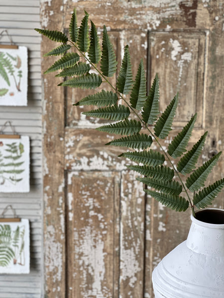 Zephyr Fern Spray | 56" | Limited Stock - Last 48pcs!  (will be discontinued for Spring 2026)