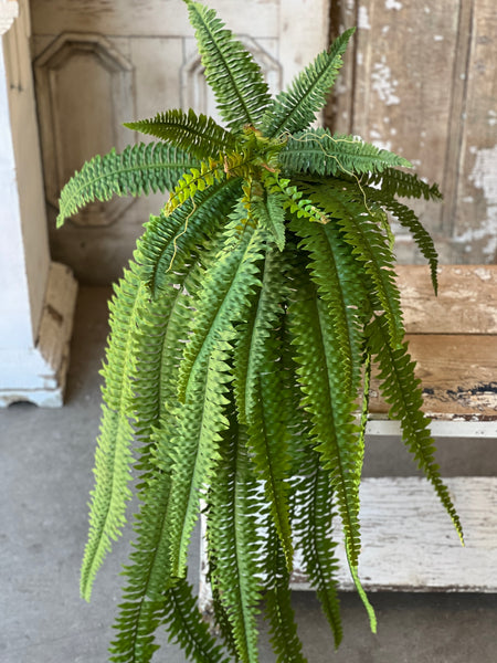 Niagara Fern Cascade | 48" | NOT CURRENTLY IN STOCK - ETA December