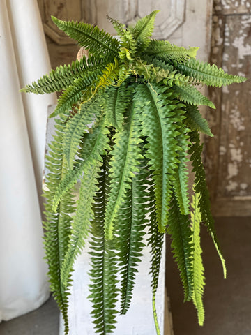 Niagara Fern Cascade | 48" | NOT CURRENTLY IN STOCK - ETA December