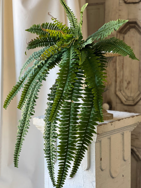 Niagara Fern Cascade | 48" | NOT CURRENTLY IN STOCK - ETA December