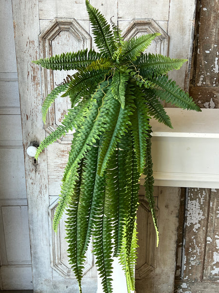 Niagara Fern Cascade | 48" | NOT CURRENTLY IN STOCK - ETA December