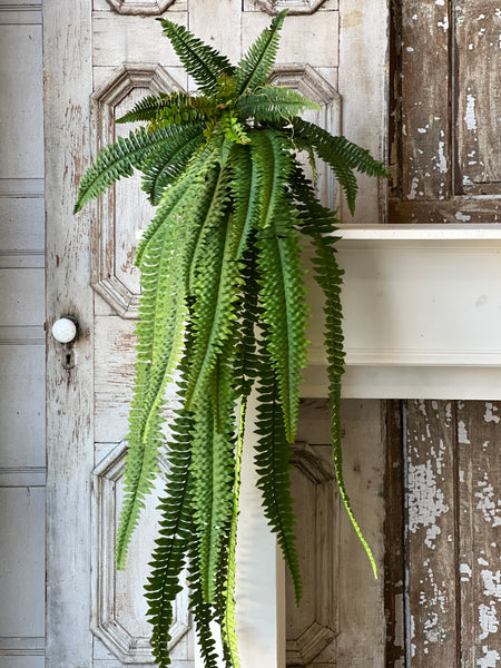 Niagara Fern Cascade | 60"