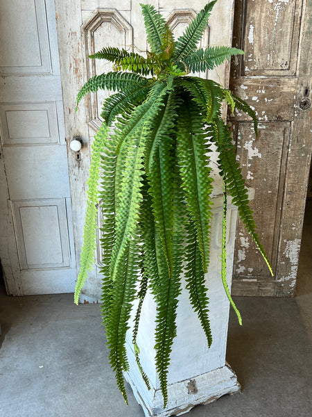 Niagara Fern Cascade | 60"