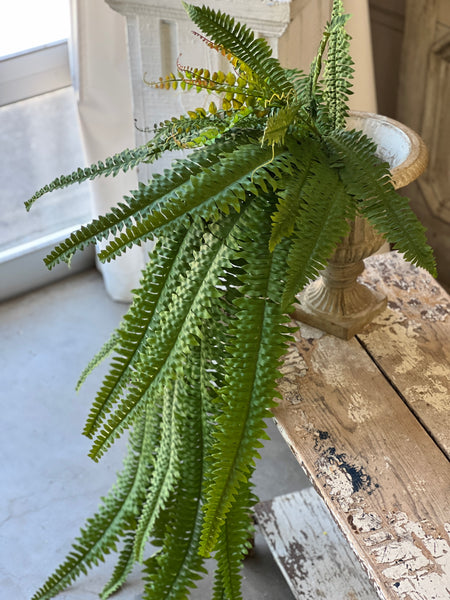 Niagara Fern Cascade | 60"