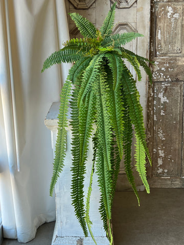 Niagara Fern Cascade | 60"