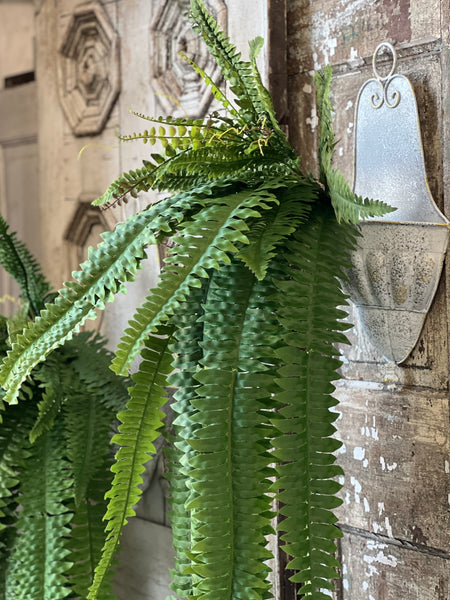 Niagara Fern Cascade | 48" | NOT CURRENTLY IN STOCK - ETA December