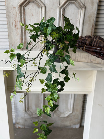 Ivadale Greens Hanging | 36" | NOT CURRENTLY IN STOCK-New For Spring 2027!