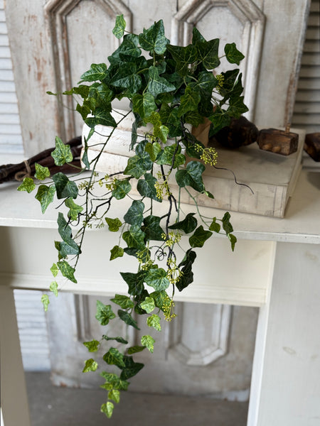 Ivadale Greens Hanging | 36" | NOT CURRENTLY IN STOCK-New For Spring 2027!