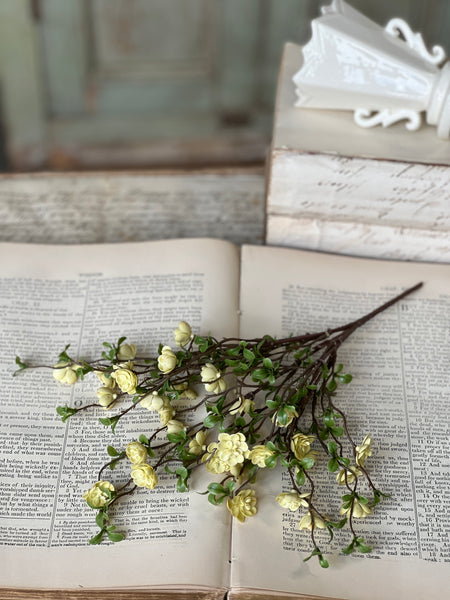 Quince Bush | 13.5" | Cream | NOT CURRENTLY IN STOCK-New For Spring 2026!