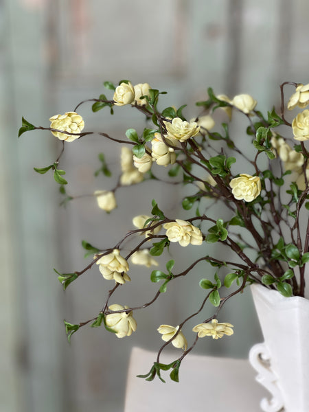 Quince Bush | 13.5" | Cream | NOT CURRENTLY IN STOCK-New For Spring 2026!